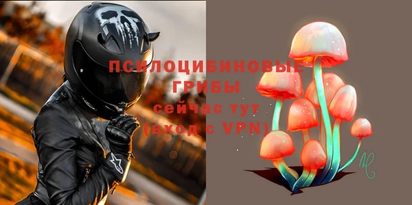 крисы Лабытнанги