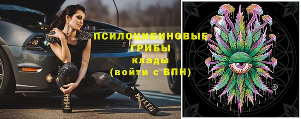 крисы Лабытнанги