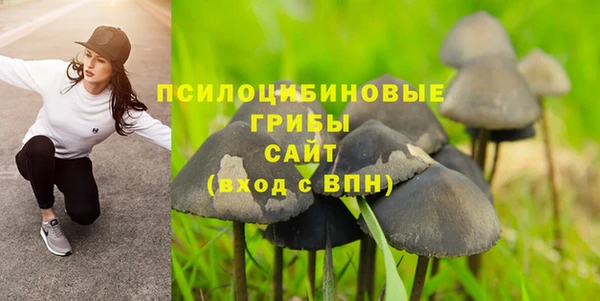 крисы Лабытнанги