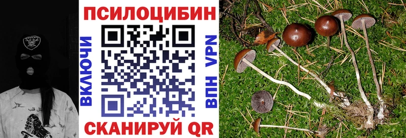 Псилоцибиновые грибы ЛСД  Жигулёвск 